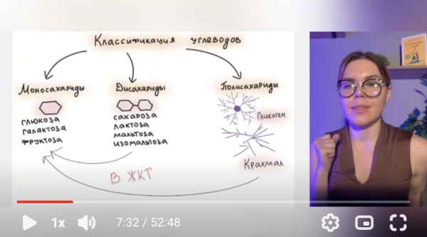 3. Углеводы под прицелом: простые vs сложные, ГИ обзорно, клетчатка и пищевые волокна
